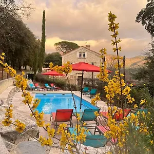 La Viste - Spa-jacuzzi - Massage- Sauna - 4 Saisons - Piscine Chauffee Toute L'annee - Heated Pool - 800m Centre Nyons